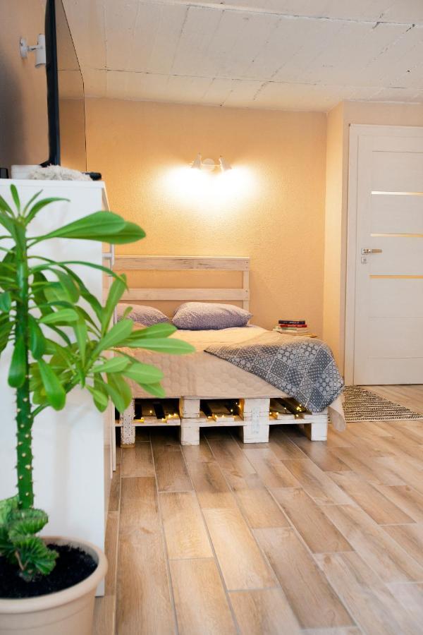 Apartment In Garage With Free Parking Kaunas Kültér fotó